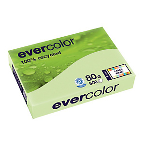 5 papierpakken Clairefontaine Evercolor kleur groen A4 80 g 5 papierpakken Clairefontaine Evercolor kleur groen A4 80 g