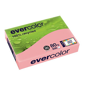 5 ramettes papier Clairefontaine Evercolor coloris rose A4 80g