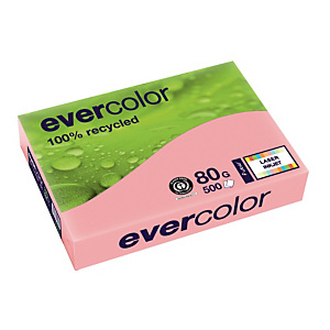 5 ramettes papier Clairefontaine Evercolor coloris rose A4 80g 5 ramettes papier Clairefontaine Evercolor coloris rose A4 80g
