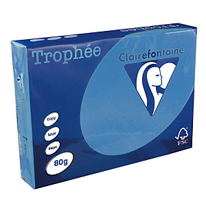 5 ramettes papier Clairefontaine Trophée bleu turquoise A4 80 g 5 ramettes papier Clairefontaine Trophée bleu turquoise A4 80 g