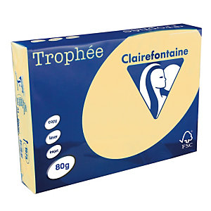 5 ramettes papier Clairefontaine Trophée chamois A4 80 g
