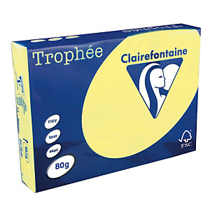 5 ramettes papier Clairefontaine Trophée jaune canari A4 80 g