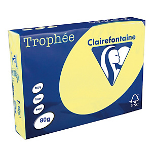 5 ramettes papier Clairefontaine Trophée jaune canari A4 80 g 5 ramettes papier Clairefontaine Trophée jaune canari A4 80 g