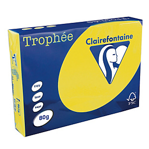 5 ramettes papier Clairefontaine Trophée jaune soleil A4 80 g 5 ramettes papier Clairefontaine Trophée jaune soleil A4 80 g