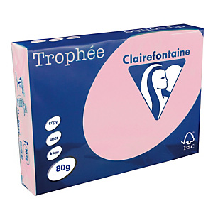 5 ramettes papier Clairefontaine Trophée rose A4 80 g 5 ramettes papier Clairefontaine Trophée rose A4 80 g