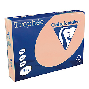 5 ramettes papier Clairefontaine Trophée saumon A4 80 g 5 ramettes papier Clairefontaine Trophée saumon A4 80 g