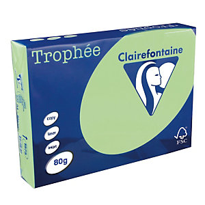 5 ramettes papier Clairefontaine Trophée vert A4 80 g