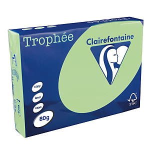5 ramettes papier Clairefontaine Trophée vert A4 80 g 5 ramettes papier Clairefontaine Trophée vert A4 80 g
