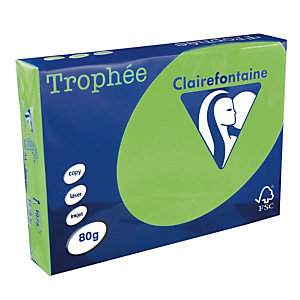 5 ramettes papier Clairefontaine Trophée vert menthe A4 80 g
