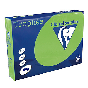5 ramettes papier Clairefontaine Trophée vert menthe A4 80 g 5 ramettes papier Clairefontaine Trophée vert menthe A4 80 g