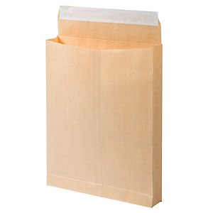 50 zakomslagen in versterkte kraft met balgen 50 mm GPV formaat 260 x 330 zonder venster 50 zakomslagen in versterkte kraft met balgen 50 mm GPV formaat 260 x 330 zonder venster