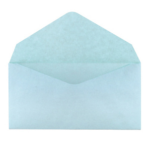 500 enveloppes élections GPV 90 x 140 mm papier recyclé velin 75 g coloris bleu 500 enveloppes élections GPV 90 x 140 mm papier recyclé velin 75 g coloris bleu