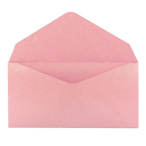 500 enveloppes élections GPV 90 x 140 mm papier recyclé velin 75 g coloris rose 500 enveloppes élections GPV 90 x 140 mm papier recyclé velin 75 g coloris rose