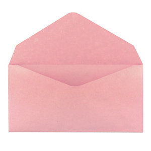 500 enveloppes élections GPV 90 x 140 mm papier recyclé velin 75 g coloris rose