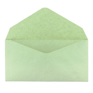 500 enveloppes élections GPV 90 x 140 mm papier recyclé velin 75 g coloris vert