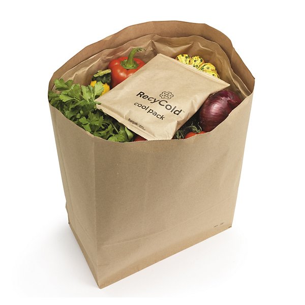 Acumuladores de frío ecológico Recycold® 600ml RANPAK - 2