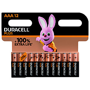 Alkalinebatterijen Duracell Plus LR03 AAA, set van 12