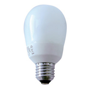 Ampoule fluocompacte Energie Saver 15W E27
