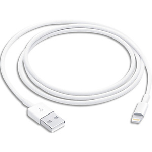 APPLE Câble Lightning - Lightning / USB - 1 m Téléphone cellulaire, tablette, lecteur numérique APPLE Câble Lightning - Lightning / USB - 1 m Téléphone cellulaire, tablette, lecteur numérique