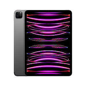 Apple iPad Pro, 27,9 cm (11"), 2388 x 1668 Pixeles, 128 GB, 8 GB, iPadOS 16, Gris MNYC3TY/A