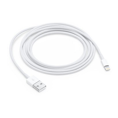 Apple Lightning - USB, 2 m, Lightning, USB A, Blanco, USB 2.0, iPhone 5/5c/5s, iPad 4 gen, iPad mini, iPod nan 7 gen, iPod touch 5 gen MD819ZM/A - 1