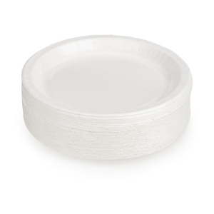 Assiette carton Assiette carton