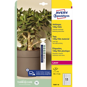 AVERY Cartellini per piante con chiusura automatica e cordoncino, Plastica ultraresistente 140 micron, 16 x 1,7 cm, 12 cartellini per foglio, Bianco (confezione 10 fogli) AVERY Cartellini per piante con chiusura automatica e cordoncino, Plastica ultraresistente 140 micron, 16 x 1,7 cm, 12 cartellini per foglio, Bianco (confezione 10 fogli)