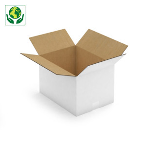 Bílé klopové krabice z pětivrstvé vlnité lepenky, paletovatelné | RAJA