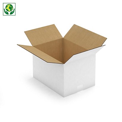 Bílé klopové krabice z pětivrstvé vlnité lepenky, paletovatelné | RAJA - 1