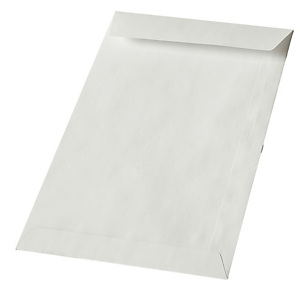 BLASETTI Busta a sacco - lembo non gommato - 13 x 18 cm - 60 gr - bianco - conf. 1000 pezzi BLASETTI Busta a sacco - lembo non gommato - 13 x 18 cm - 60 gr - bianco - conf. 1000 pezzi