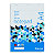 Bloc-notes 100 feuilles non perforées Raja, format A4 (21x29,7cm), 70 g/m², petits carreaux 5x5, lot de 5 - 1