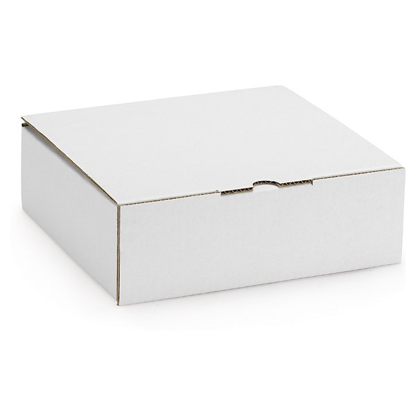 Boîte blanche avec calage mousse RAJA, 240 x 180 x 50 mm - 3