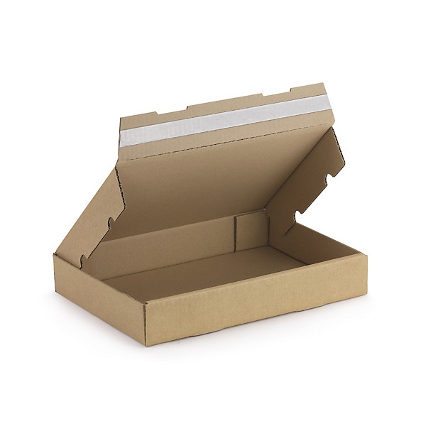 Boîte brune avec fermeture adhésive 31 x 22 x 5 cm - 1