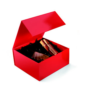 Boîte cadeau carton fermeture aimantée L.22,5 x l.22,5 x H.10,5 cm - Rouge brillant - Lot de 10