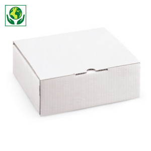 Boîte carton blanche avec calage mousse recyclé - Best Price