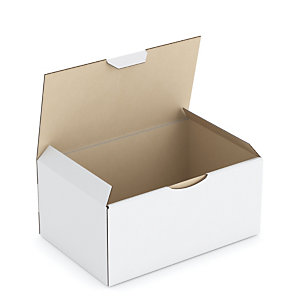 Boîte carton blanche d'expédition RAJAPOST 19,5x13,5x9 cm
