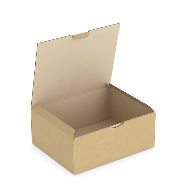 Boîte carton brune d’expédition RAJAPOST 35x22x13 cm - 5