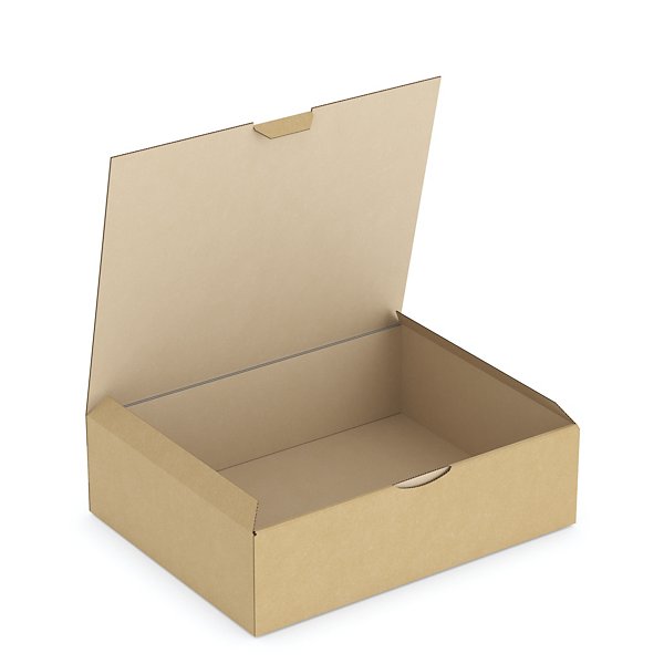 Boîte carton brune d’expédition RAJAPOST 35x22x13 cm - 6