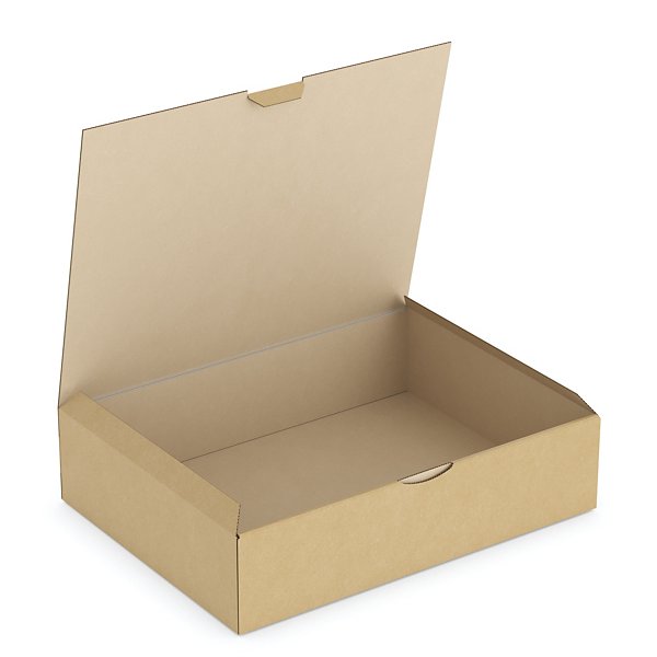 Boîte carton brune d’expédition RAJAPOST 35x22x13 cm - 8