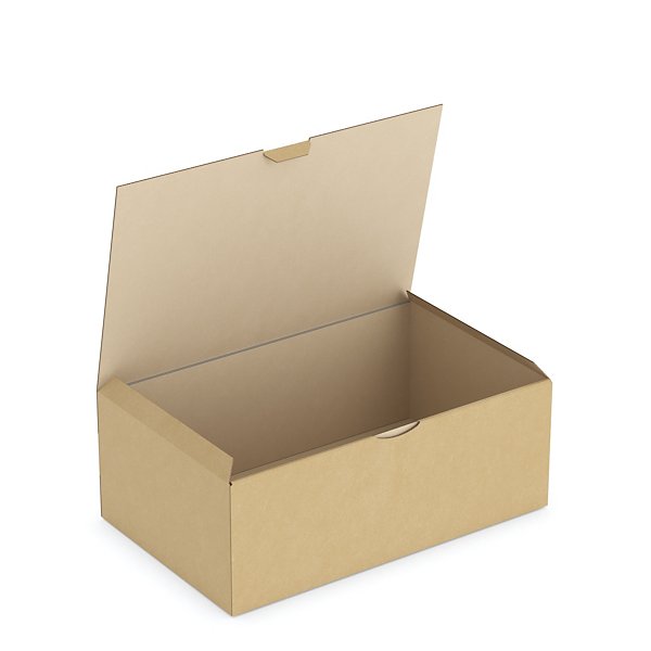 Boîte carton brune d’expédition RAJAPOST 35x22x13 cm - 9