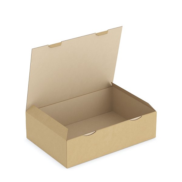 Boîte carton brune d’expédition RAJAPOST 35x22x13 cm - 10