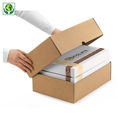 Boîte carton brune télescopique ecologique et eco-responsable