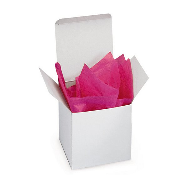 Boîte carton plat blanc 10x3,5x10 cm - 6