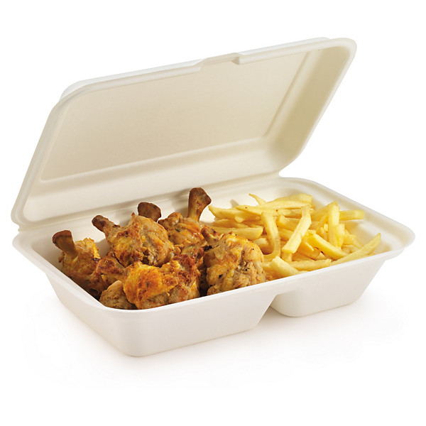 Boîte coque en canne à sucre 241x163x65 mm - 1