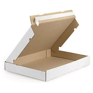 Boîte postale blanche extra-plate en carton avec fermeture adhésive