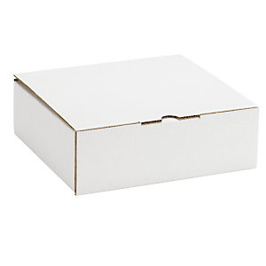 Boîte postale carton blanche avec calage mousse RAJA 18x12x5 cm
