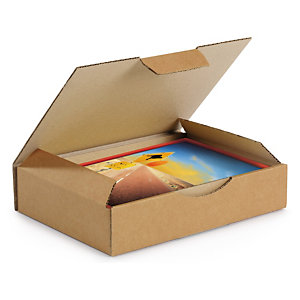 Boîte postale carton brune simple cannelure RAJAPOST formats A4/A4+