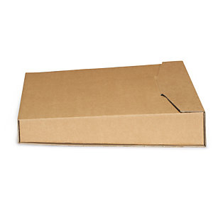 Boîte postale en carton pour classeur avec fermeture par languette