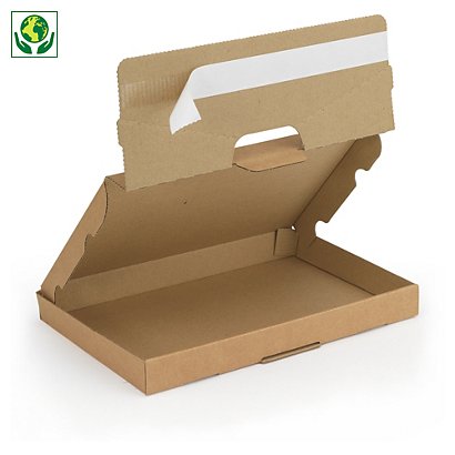 Boîte postale extra-plate carton brune avec fermeture adhésive 25x16x2,5 cm - 1