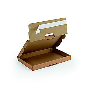 Boîte postale extra-plate fermeture adhésive en carton simple cannelure brun - L.int. 25 x l.16 x H.2,5 cm - Lot de 50